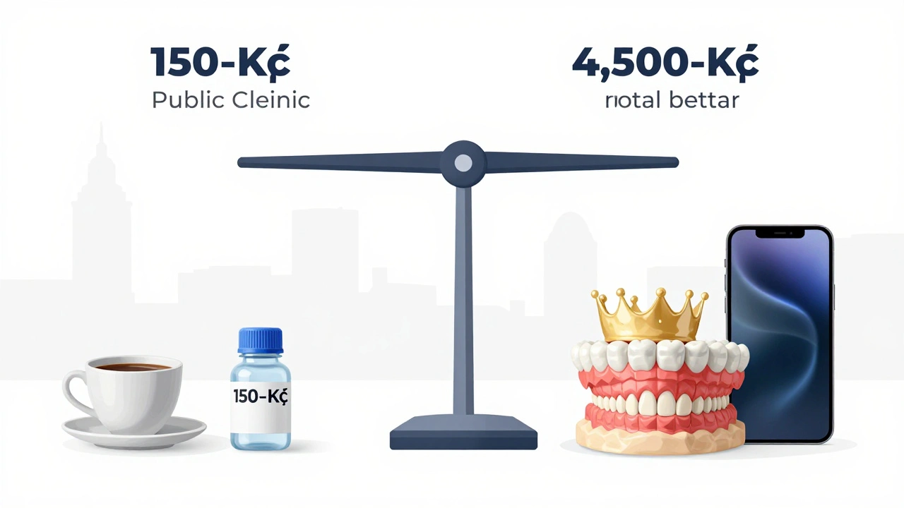 Scale comparing low-cost and high-cost dental treatments with everyday objects.